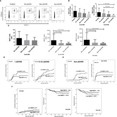 The Potential Roles of Mucosa-Associated Invariant T Cells in the Pathogenesis of Gut Graft-Versus-Host Disease After Hematopoietic Stem Cell Transplantation